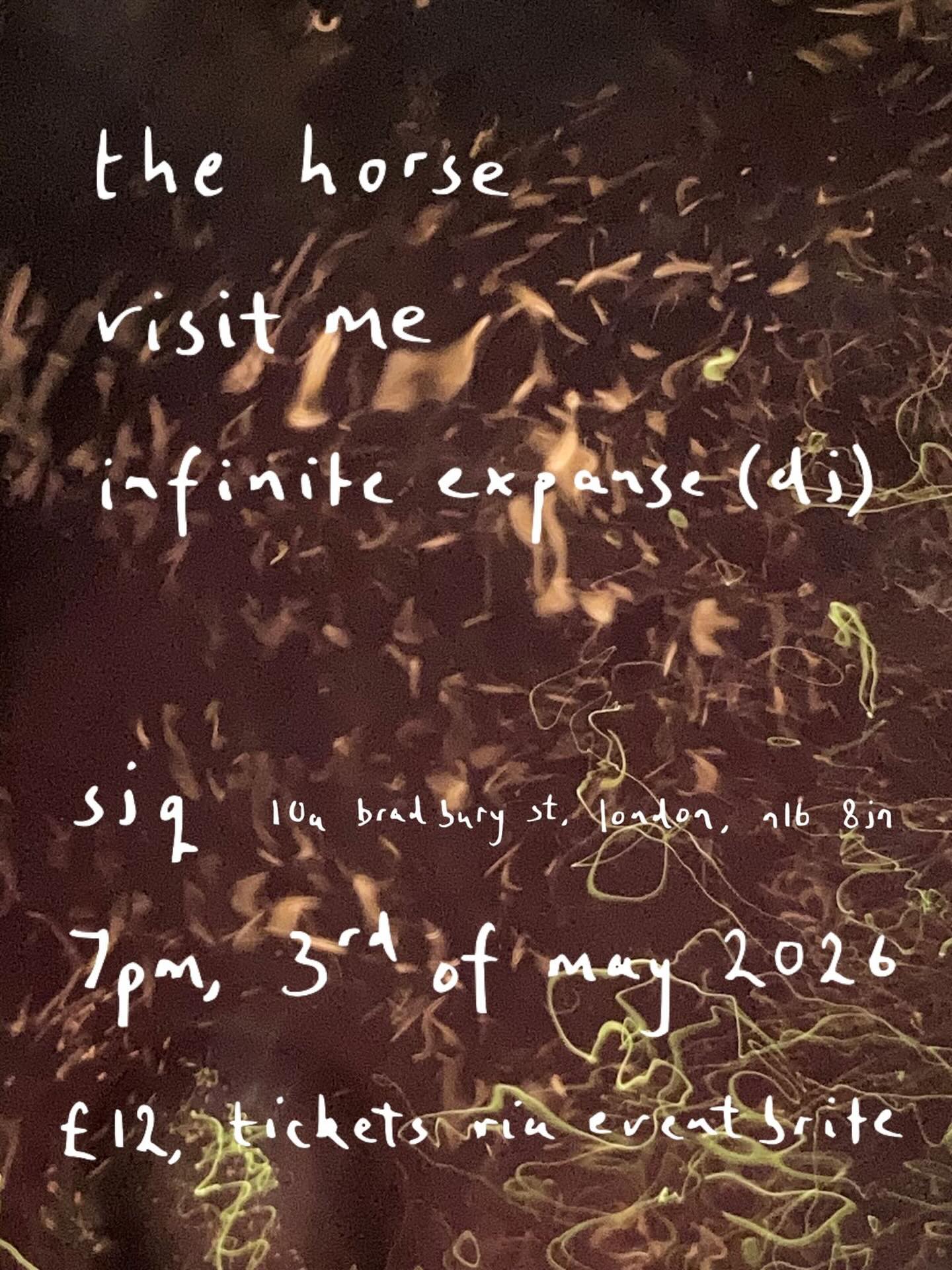 May 2026 - The Horse, Visit Me & Infinite Expanse (dj) - SJQ, London